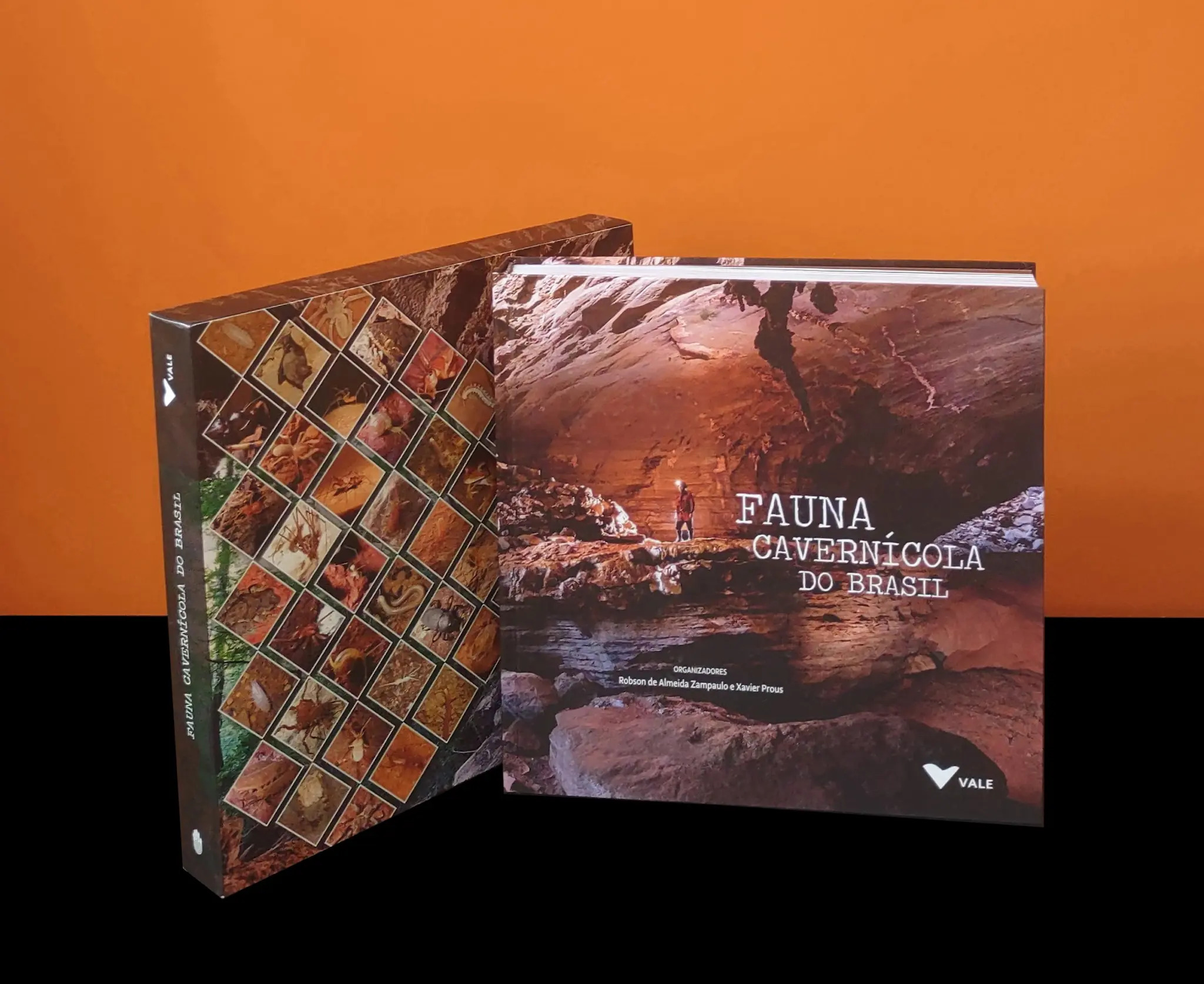 O que Fazemos — Editora Rupestre