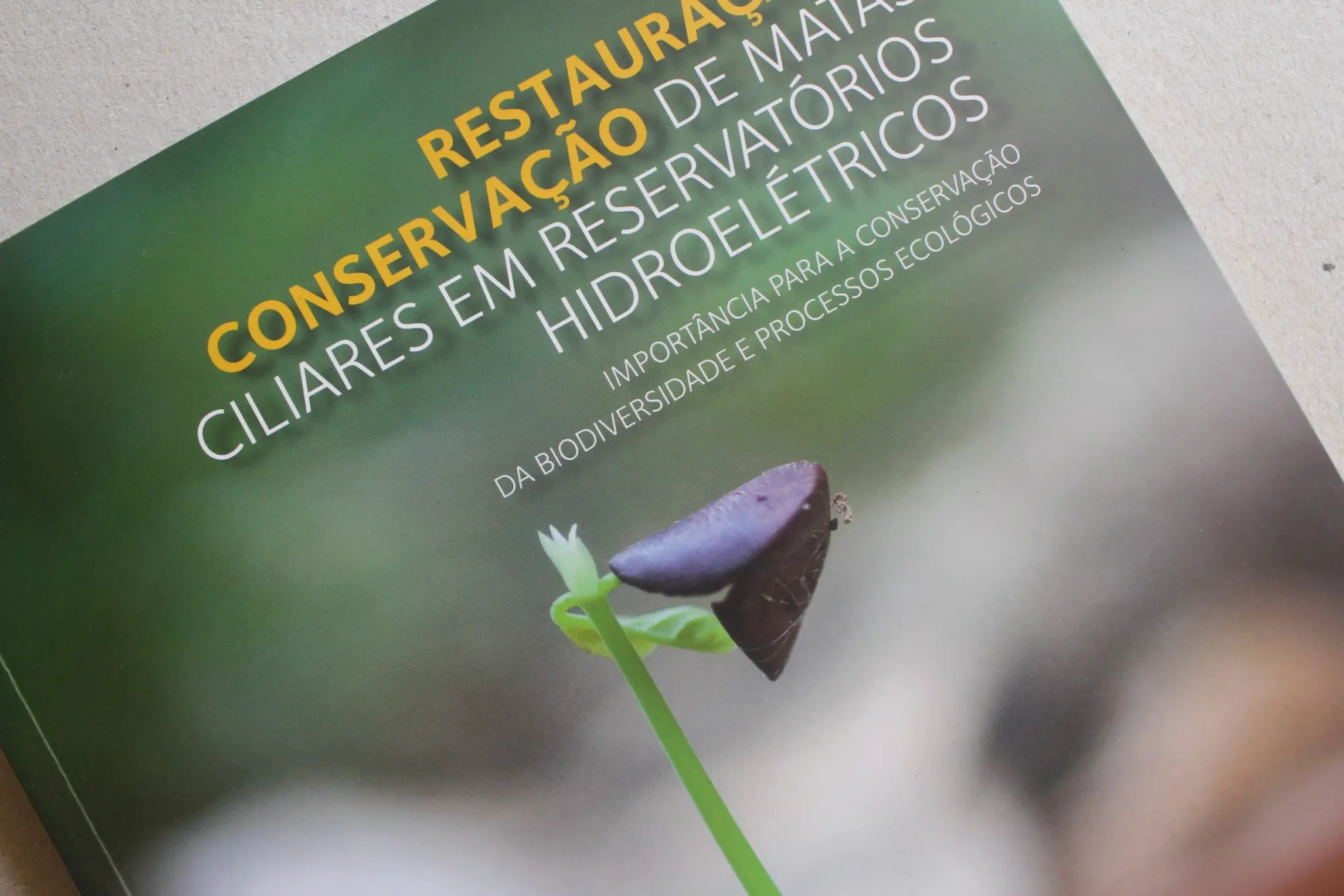 Quem Somos — Editora Rupestre